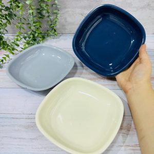 ظرف مسافرتی لیمون